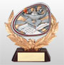 academic awards phoenix, medal