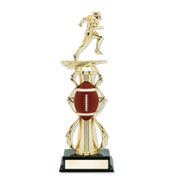 phoenix football awards trophies